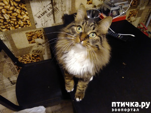 ����: ������.