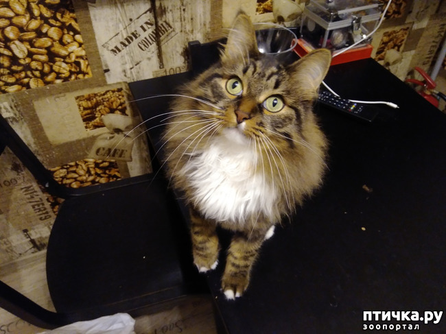 ���� 1: ������.