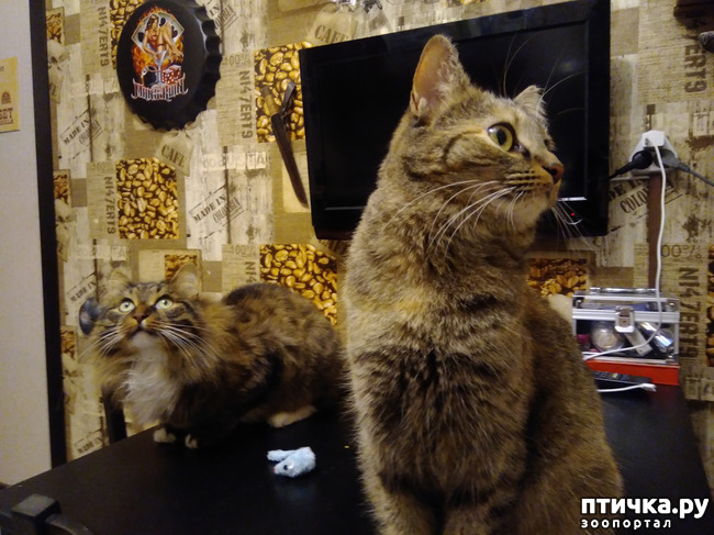 ���� 2: ������.