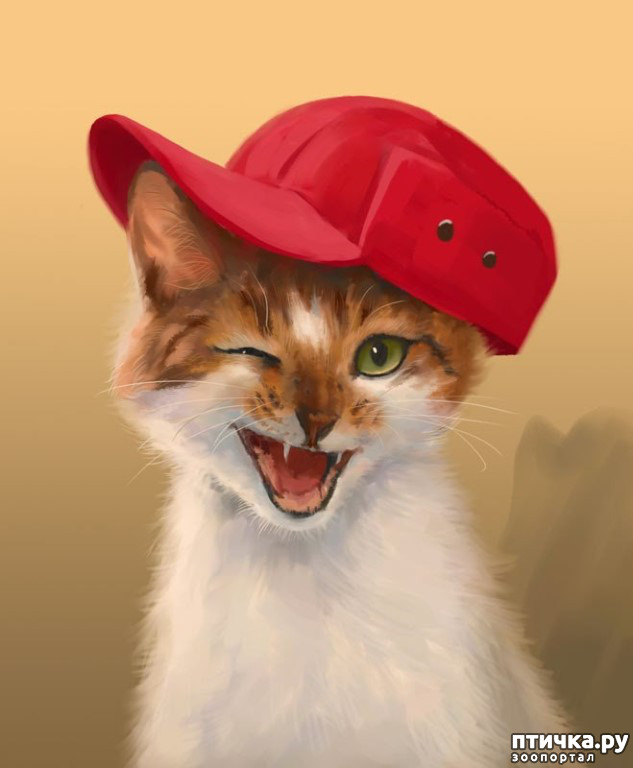 ���� 1: ���������� ���