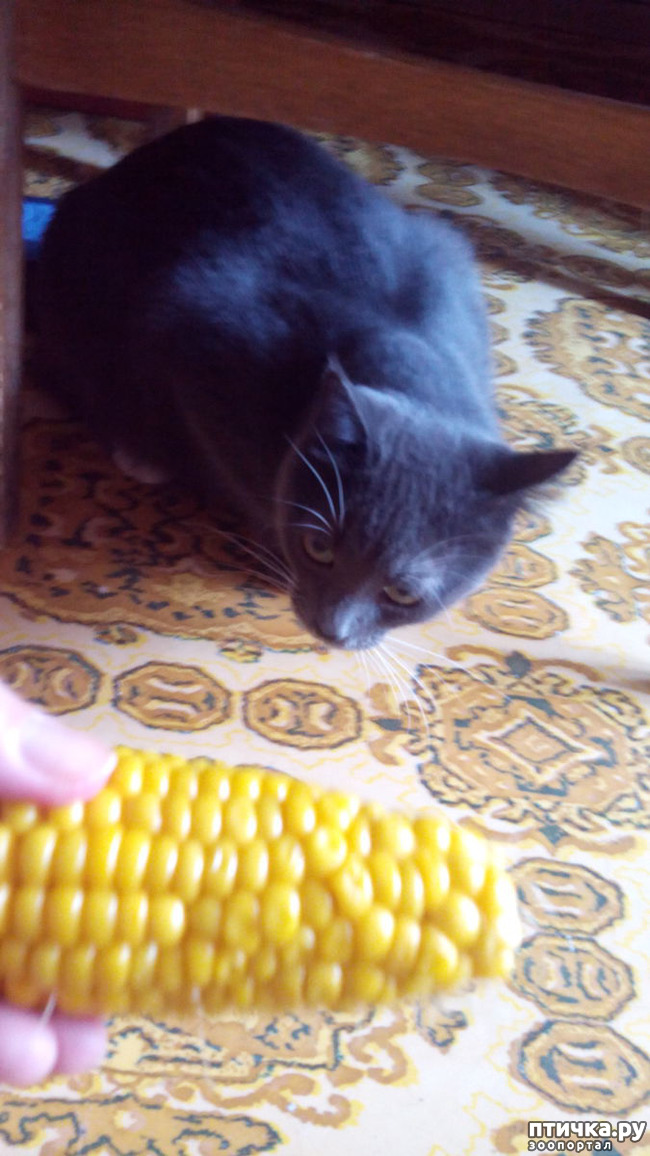 ���� 2: ���� � ��������