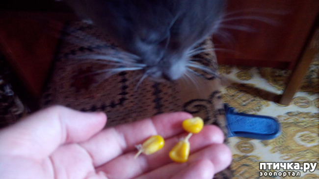 ���� 3: ���� � ��������