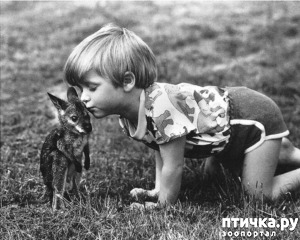 ����: ���� � �������� � ��������� ����� ���������