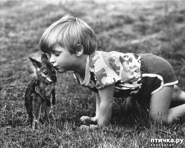 ���� 1: ���� � �������� � ��������� ����� ���������