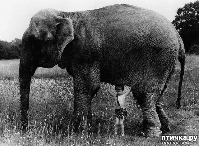 ���� 2: ���� � �������� � ��������� ����� ���������