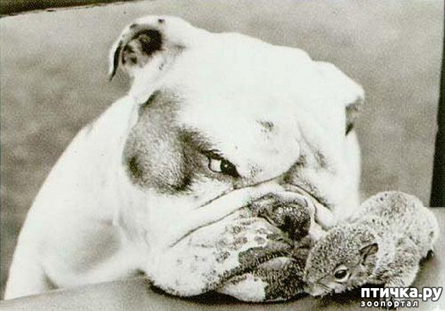 ���� 5: ���� � �������� � ��������� ����� ���������