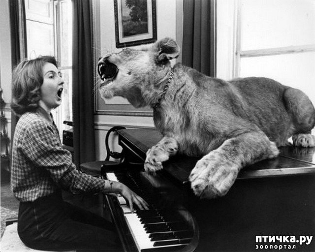 ���� 6: ���� � �������� � ��������� ����� ���������