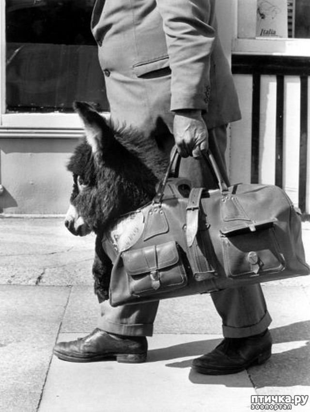 ���� 7: ���� � �������� � ��������� ����� ���������