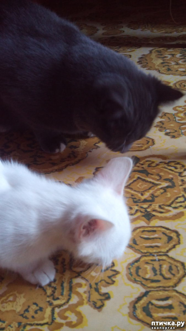 ���� 4: ���� � ��������