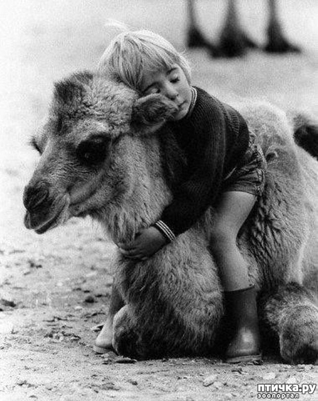 ���� 9: ���� � �������� � ��������� ����� ���������