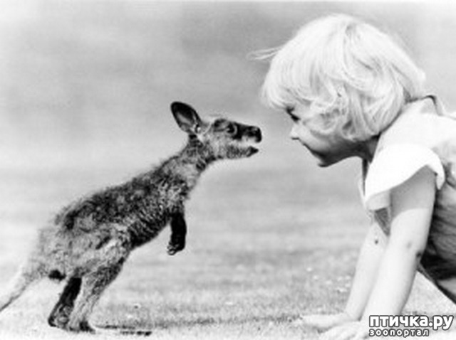 ���� 10: ���� � �������� � ��������� ����� ���������