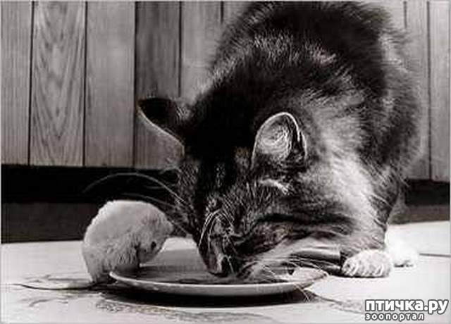 ���� 12: ���� � �������� � ��������� ����� ���������