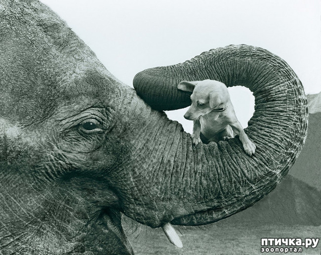 ���� 13: ���� � �������� � ��������� ����� ���������