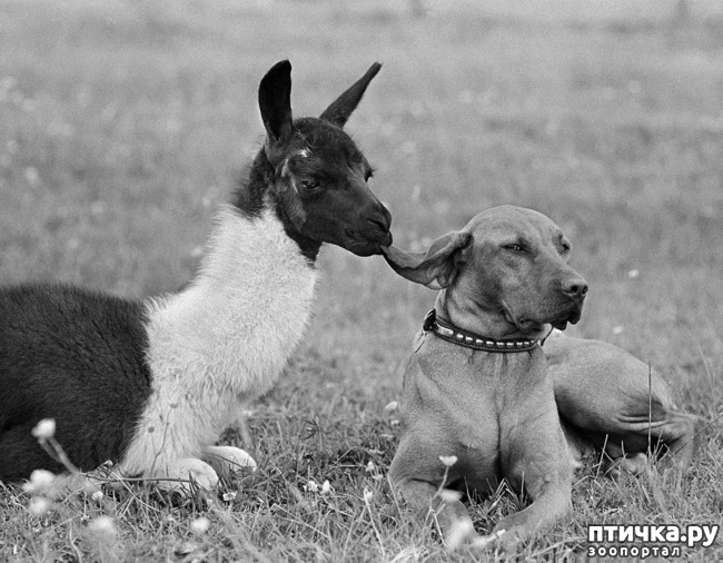 ���� 14: ���� � �������� � ��������� ����� ���������