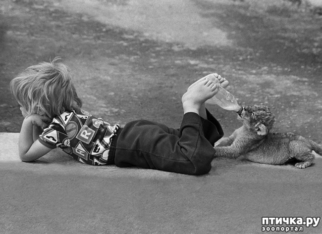 ���� 17: ���� � �������� � ��������� ����� ���������