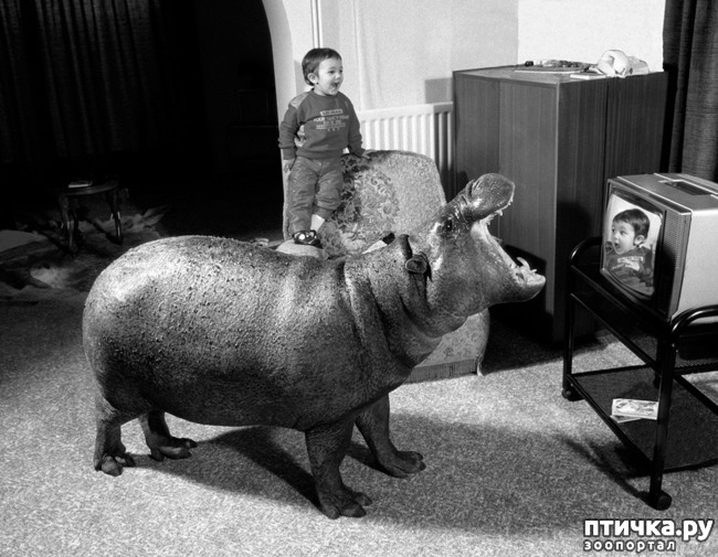 ���� 19: ���� � �������� � ��������� ����� ���������