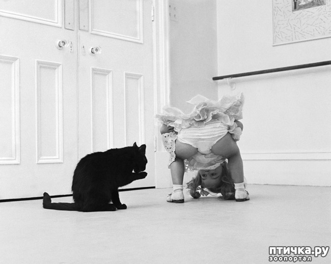 ���� 21: ���� � �������� � ��������� ����� ���������