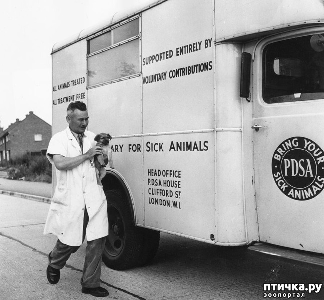 ���� 22: ���� � �������� � ��������� ����� ���������