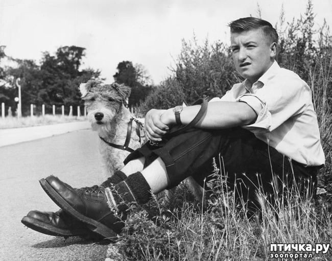 ���� 23: ���� � �������� � ��������� ����� ���������