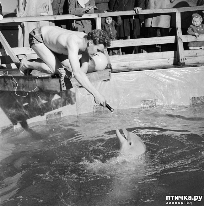 ���� 24: ���� � �������� � ��������� ����� ���������