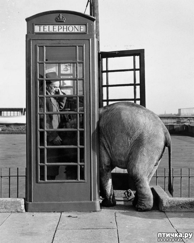 ���� 25: ���� � �������� � ��������� ����� ���������