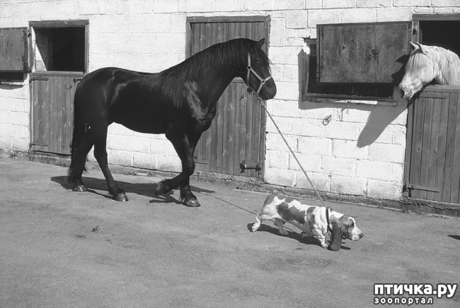 ���� 26: ���� � �������� � ��������� ����� ���������