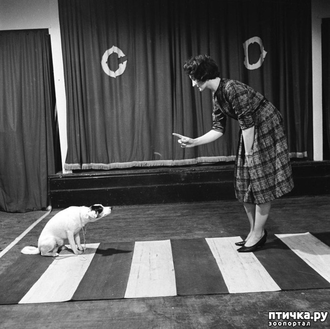 ���� 27: ���� � �������� � ��������� ����� ���������