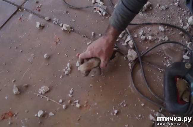 ���� 2: ��� ������� �����