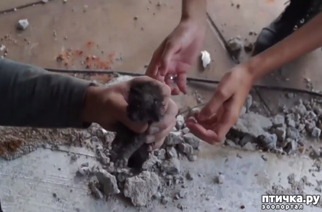 ���� 3: ��� ������� �����