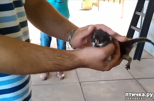 ���� 4: ��� ������� �����