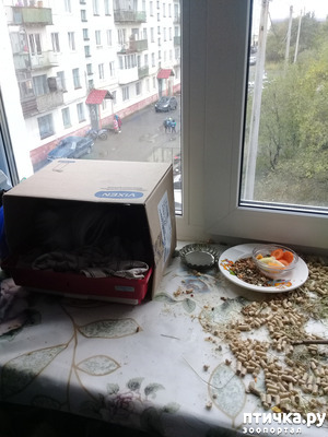 ����: ������� ����.