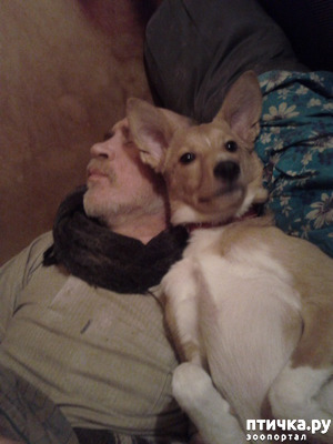 ����: ��� �������� 8 ��� ����� � �������