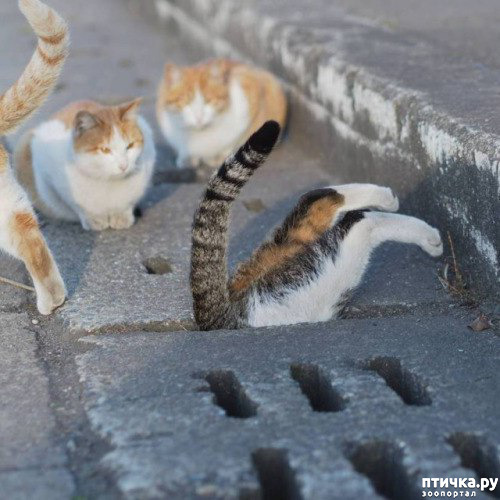 ���� 4: ��� ��� ������?