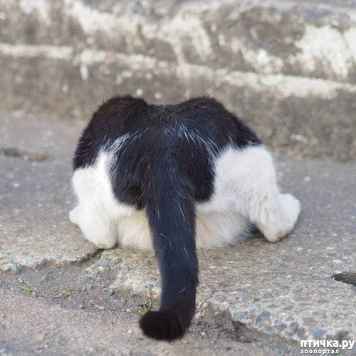 ���� 2: ��� ��� ������?