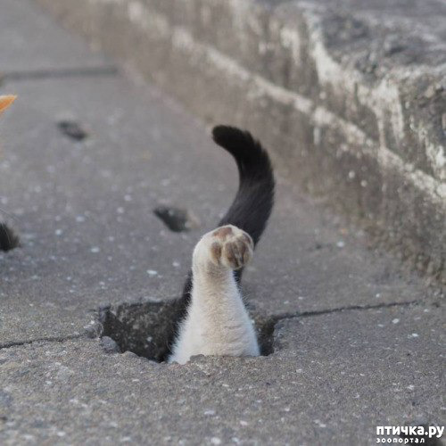 ���� 8: ��� ��� ������?