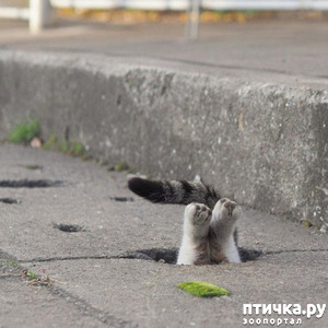 ����: ��� ��� ������?