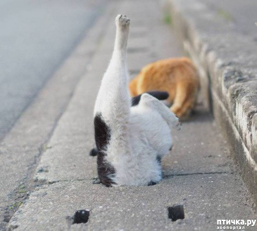 ���� 6: ��� ��� ������?