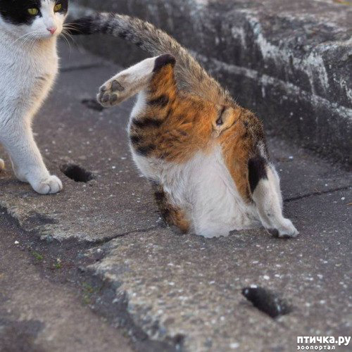 ���� 5: ��� ��� ������?