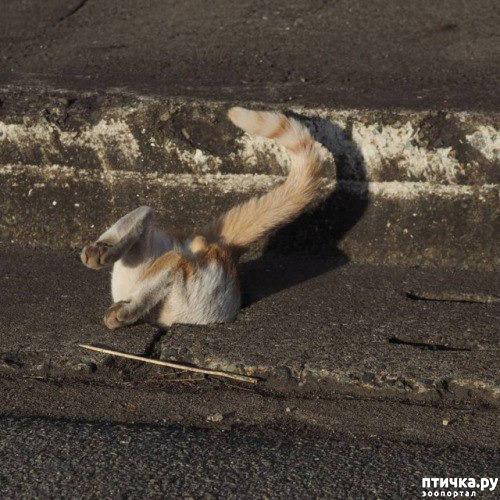 ���� 7: ��� ��� ������?