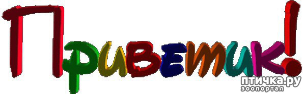 ���� 1: ���, ��� ������ ���������, ������ ����!