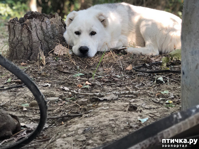 ���� 4: ���, ��� ������ ���������, ������ ����!