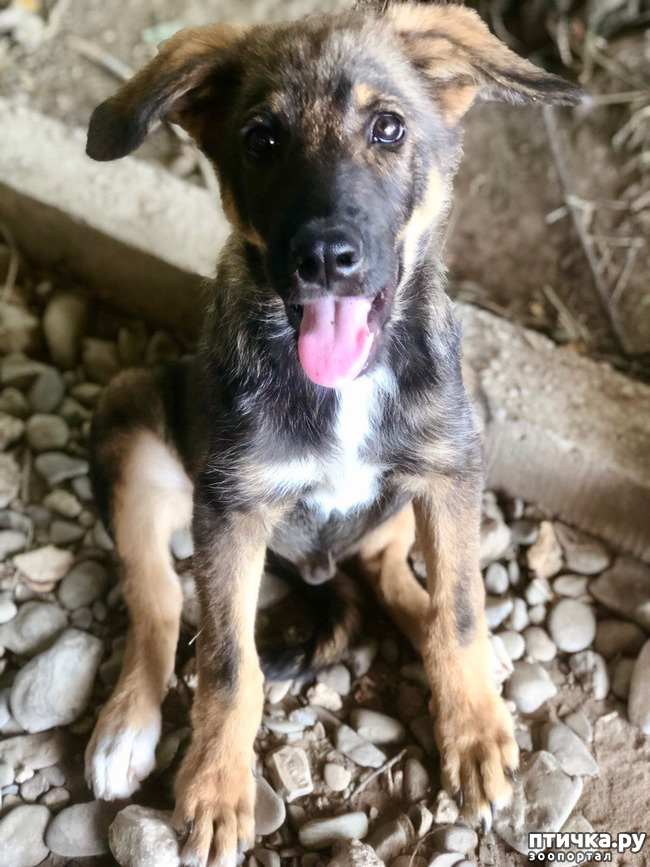 ���� 5: ���, ��� ������ ���������, ������ ����!