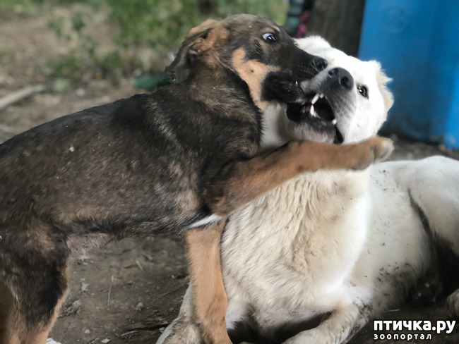 ���� 6: ���, ��� ������ ���������, ������ ����!