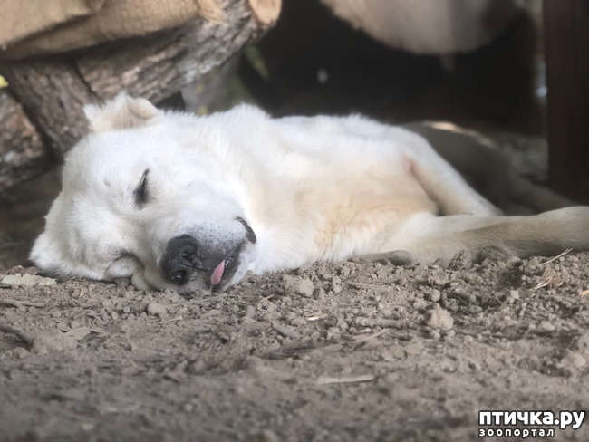 ���� 7: ���, ��� ������ ���������, ������ ����!