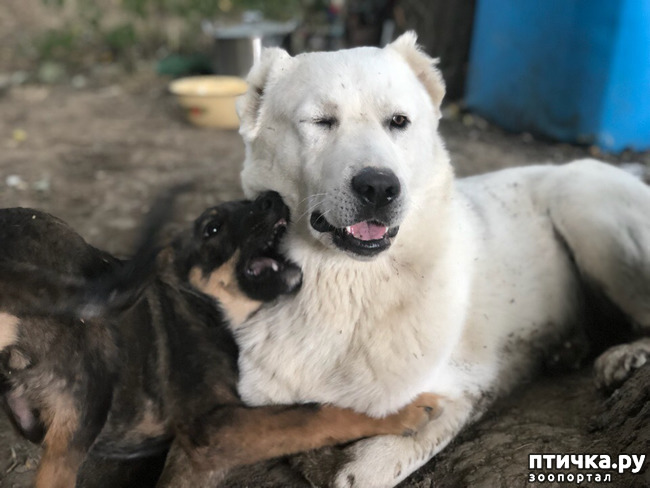 ���� 3: ���, ��� ������ ���������, ������ ����!