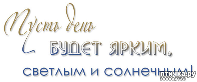 ���� 8: ���, ��� ������ ���������, ������ ����!