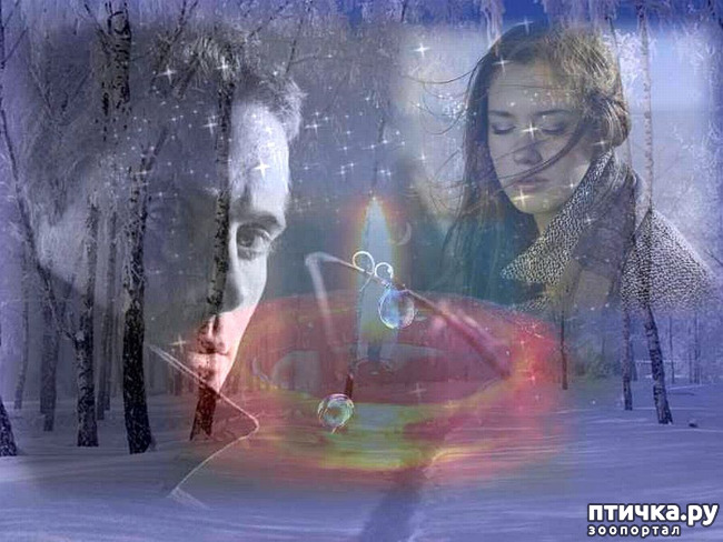 ���� 1: �����. (����������� ��� ����� � �!)