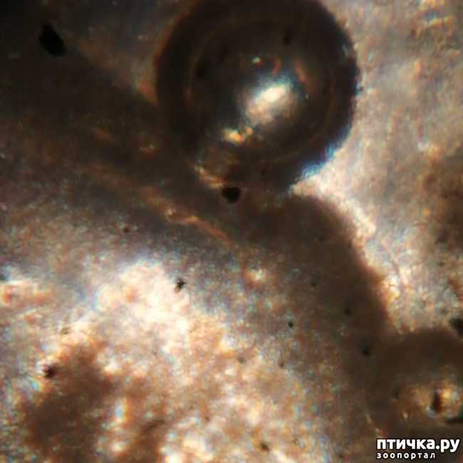 ���� 1: ��� ����������, ��� �� ���� �������?