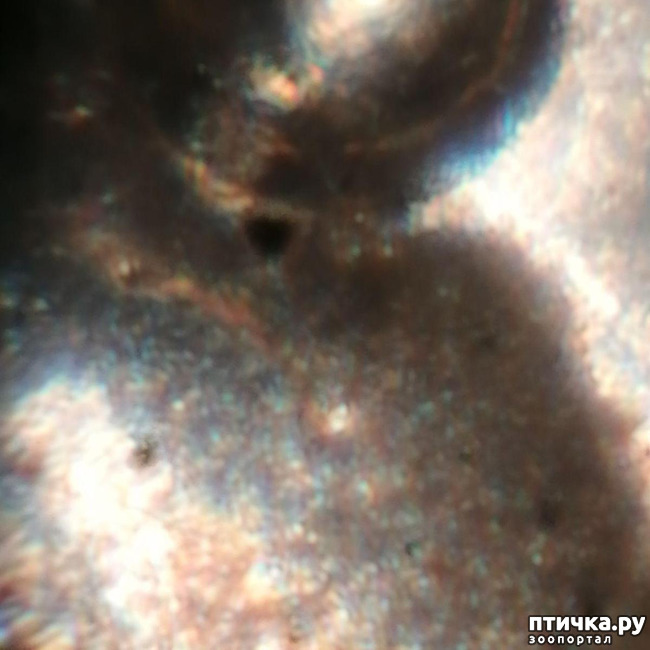 ���� 2: ��� ����������, ��� �� ���� �������?