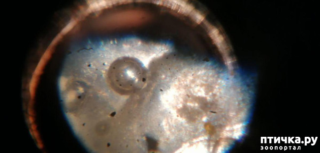 ���� 3: ��� ����������, ��� �� ���� �������?